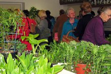 Gr&ouml;&szlig;ter Pflanzentauschmarkt im Bezirk am Montag,  2. Mai 2016