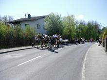 Maibaum aufstellen am Dienstag,  1. Mai 2012