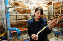 &bdquo;K&uuml;he melken ist nicht mein Job. Das machen die Bauern schon selbst&ldquo; am Donnerstag, 29. M&auml;rz 2012