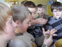 Faszination Erdkr&ouml;te am Sonntag, 18. November 2012