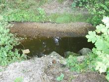 Gew&auml;sserverunreinigung am Dienstag, 23. August 2011