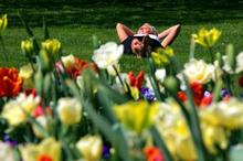 Nach den Pferden kommen die R&ouml;mer am Dienstag,  9. Juli 2013