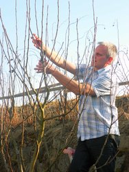Baumschnittkurs des Siedlervereins Frankenburg am Donnerstag,  6. M&auml;rz 2014