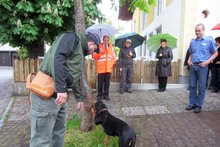 Wolfgang Ramsl und sein Hund Arras bei der Suche nach dem asiatischen Laubholzbockk&auml;fers, Foto: Wilhelm Frickh am Dienstag, 20. Mai 2014