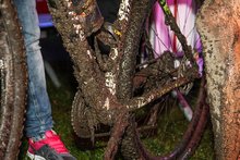 Top 10 in Flachau am Montag, 11. August 2014