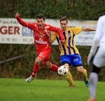 Schw&auml;ne &uuml;berwintern an zweiter Position am Mittwoch, 12. November 2014, Copyright siehe www.meinbezirk.at