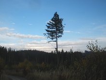 Blick in den Urhamer am Mittwoch, 19. November 2014