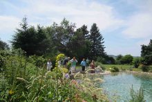 Foto: Wilhelm Frickh am Freitag,  7. August 2015