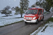 Gemeinschafts&uuml;bung FF-H&ouml;rgersteig, FF-Raitenberg, FF-Riegl am Freitag, 28. April 2017