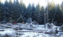 Der neu gestaltete Lebensraum am Gr&uuml;nberg (Foto: Josef Wadl) am Montag, 18. Dezember 2017