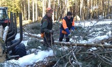 Vom Sturm zum Lebensraum am Montag, 18. Dezember 2017