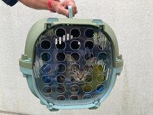 Wohnhausbrand am Sonntag, 22. August 2021