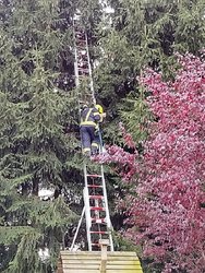 Tierrettung am Montag,  1. November 2021