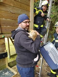 Kleine Katze von Baum gerettet am Donnerstag,  4. November 2021, Copyright siehe www.meinbezirk.at