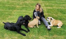 Kauf eines Vierbeiners braucht Vorbereitung am Mittwoch,  6. Juli 2022, Copyright siehe www.meinbezirk.at