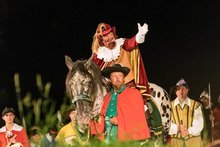 hublz macht&lsquo;s m&ouml;glich: Das W&uuml;rfelspiel wird digital am Dienstag, 12. Juli 2022, Copyright siehe www.meinbezirk.at