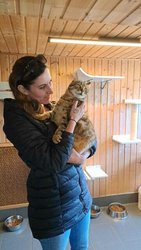 Fl&uuml;chtlings-Kater Beniv hat ein Zuhause gefunden am Mittwoch, 22. M&auml;rz 2023, Copyright siehe www.meinbezirk.at