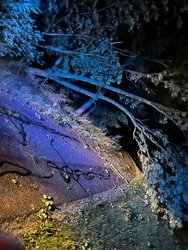 Sturmeins&auml;tze am Mittwoch, 12. Juli 2023