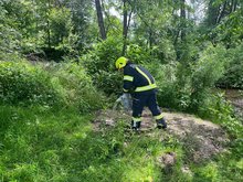 Brandeinsatz am Montag, 27. Mai 2024