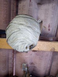 &Uuml;ber 120 Eins&auml;tze der FF-Raitenberg am Samstag,  3. August 2024